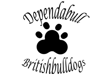 DEPENDABULL BRITISH BULLDOGS